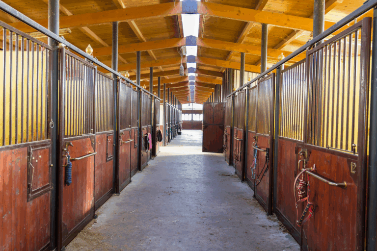 Horse Boarding Stable in Ocala, FL - Ocala Business Directory