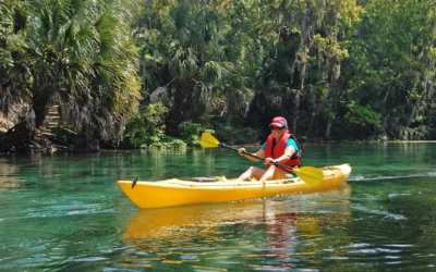 A Day in the Life: What It’s Really Like to Live in Ocala, Florida