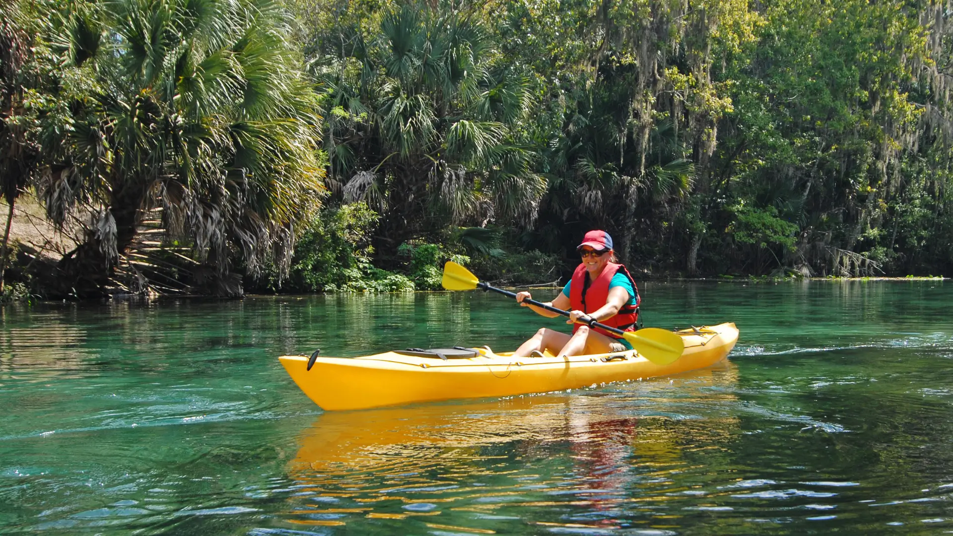 A Day in the Life: What It’s Really Like to Live in Ocala, Florida - Ocala Business Directory