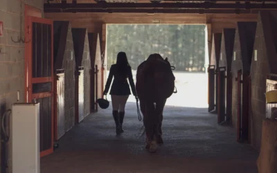 Ocala Equestrian Academy: Where Passion Meets Precision
