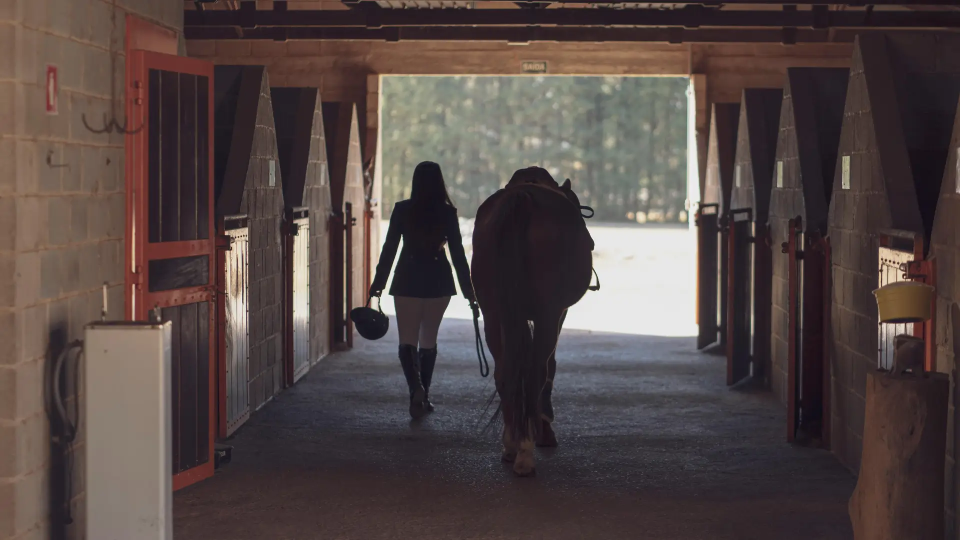Ocala Equestrian Academy | Training the Next Generation of Riders in Ocala, FL