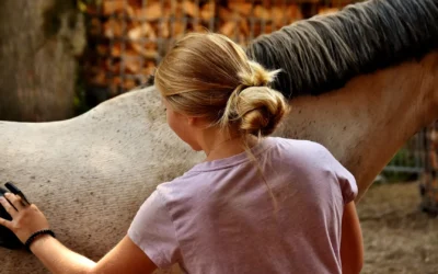 Riviere Equestrian Farm: Where Elegance Meets Everyday Horsemanship