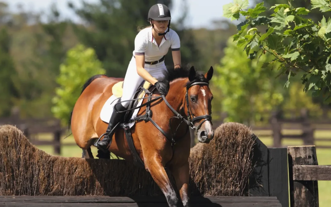SilverStride Equestrian Center: Guiding Riders with Heart and Horsemanship