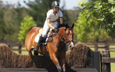 SilverStride Equestrian Center: Guiding Riders with Heart and Horsemanship