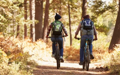 The Ultimate Ocala Parks & Outdoors Guide: Trails, Lakes & Local Nature Spots