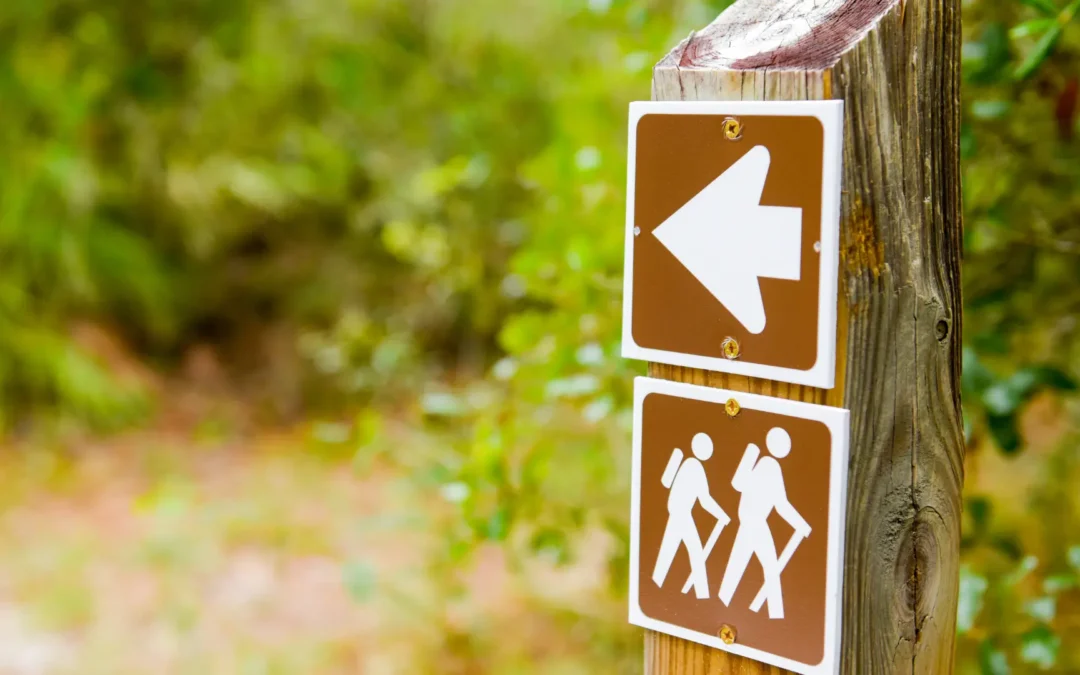 Where Locals Go: 25 Community Spots in Ocala Every Resident Should Experience At Least Once