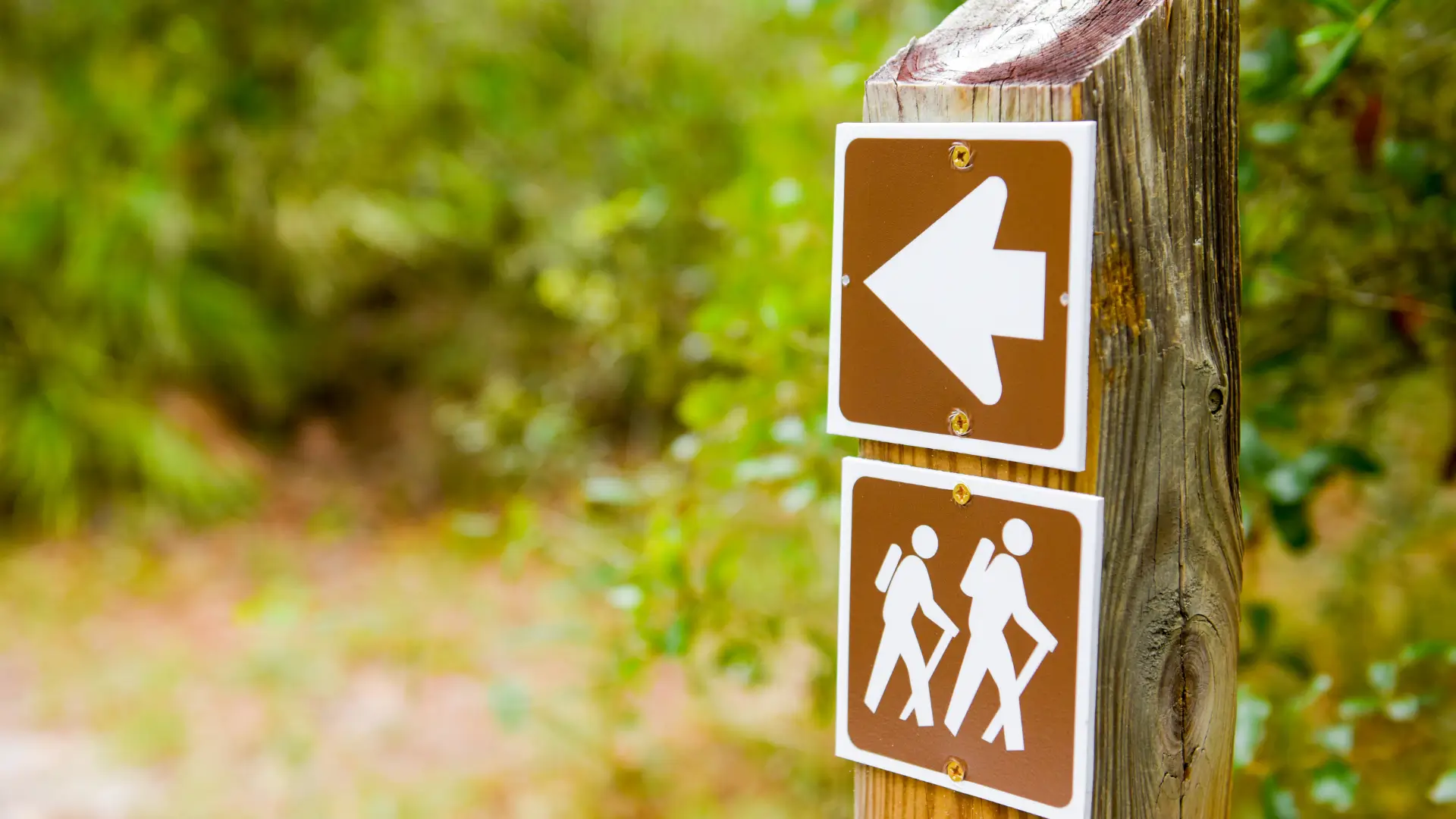 Where Locals Go: 25 Community Spots in Ocala Every Resident Should Experience At Least Once - Ocala Business Directory