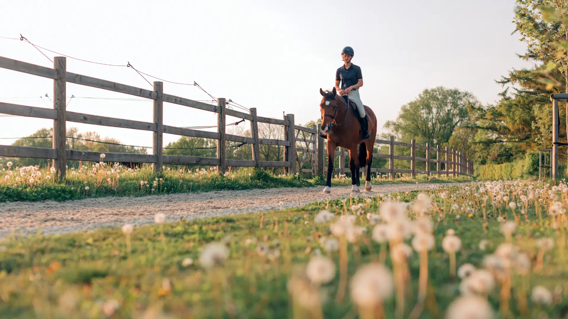 World Equestrian Center – Ocala: Where Luxury Meets the Heart of Horse Country