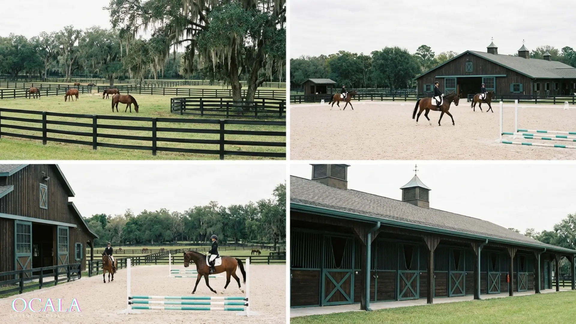 Best Equestrian Centers in Ocala, Florida - Ocala Business Directory