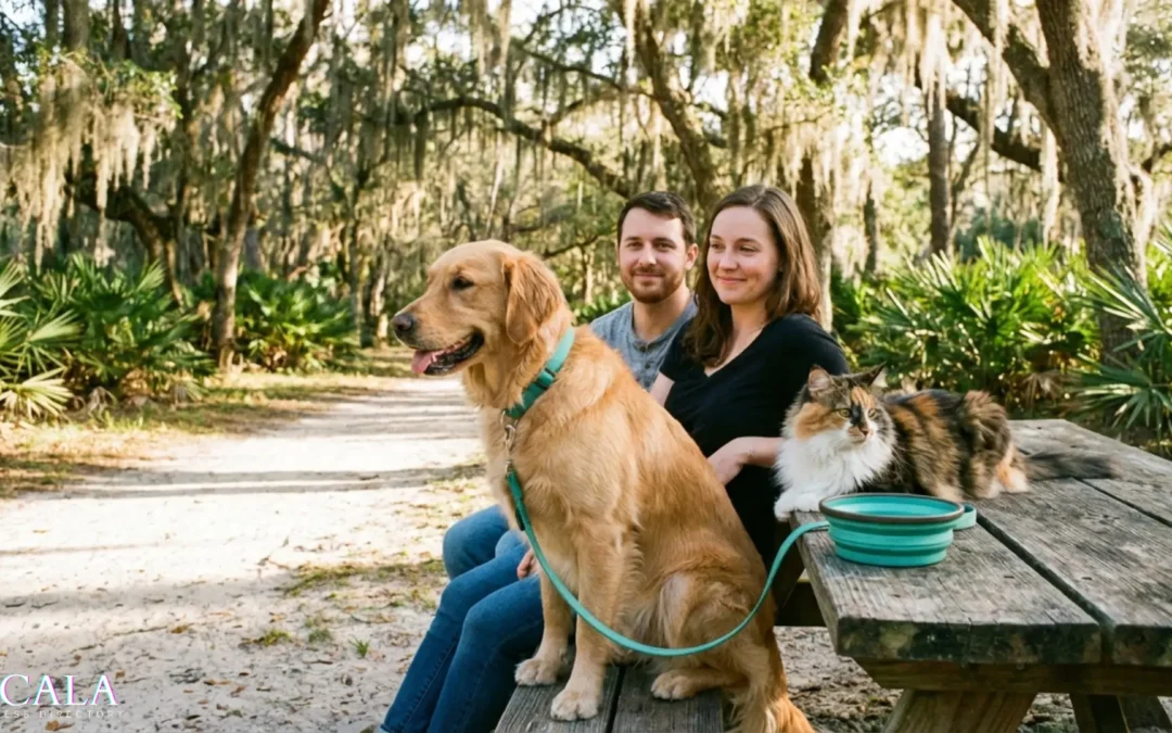 How Ocala Pet Owners Are Raising Healthier, Happier Pets Through Everyday Care